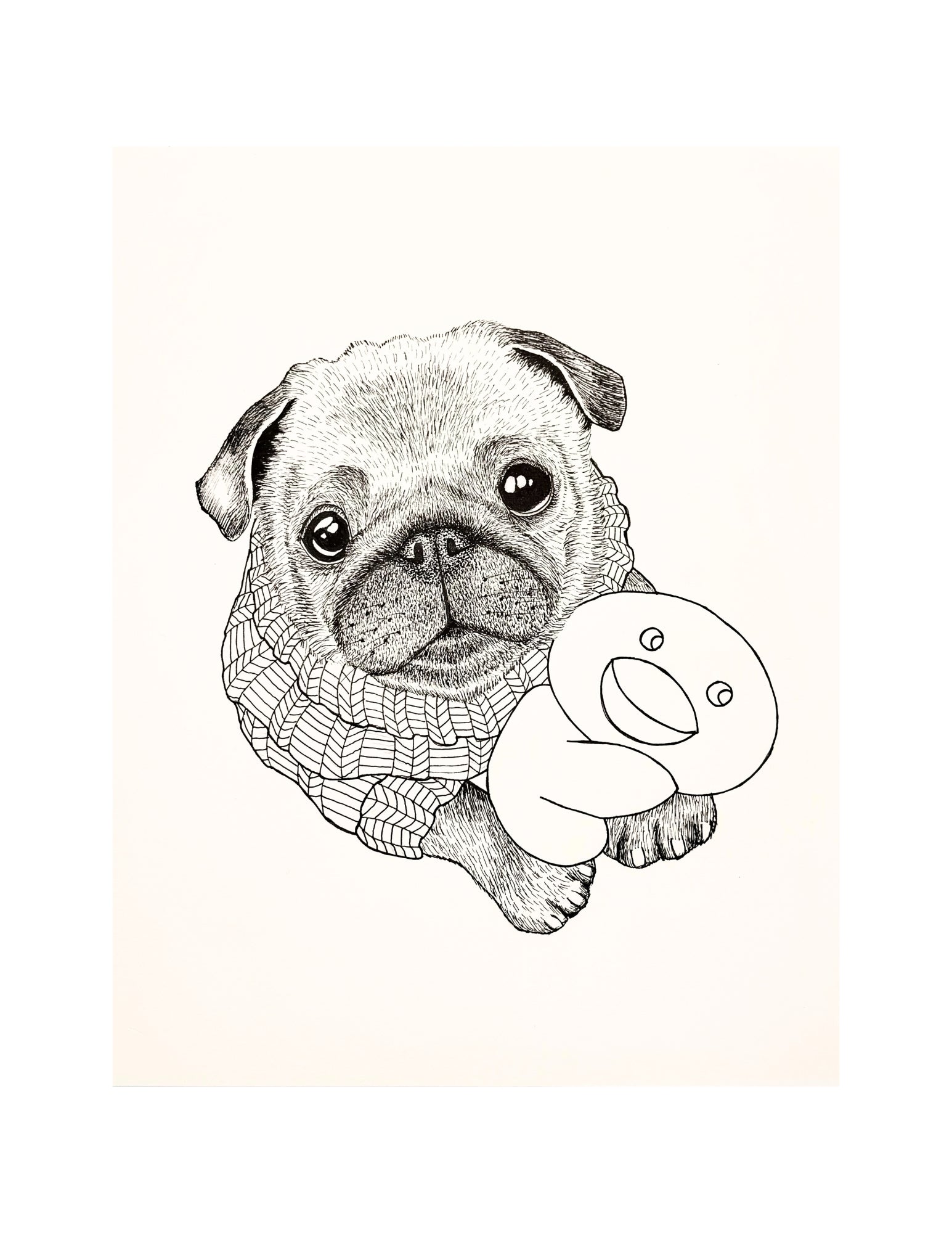Pug Portraits