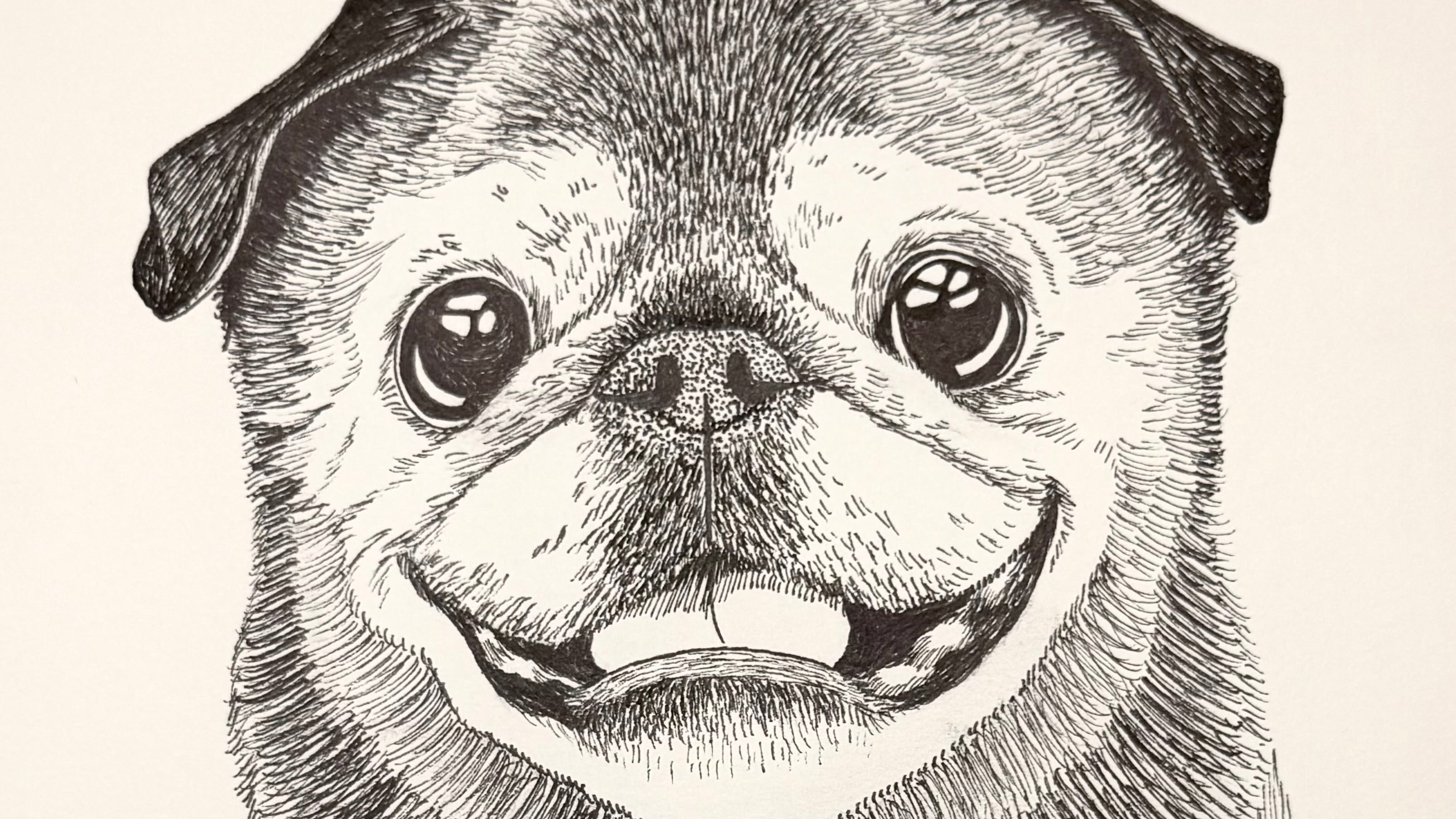 Illustration of a pug dog with a happy expression on a beige background