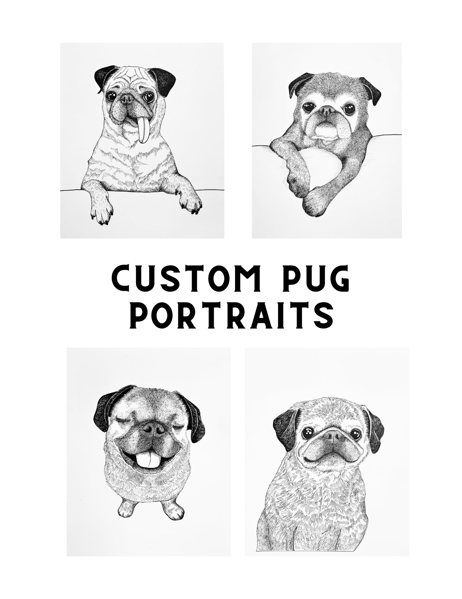 Pug Portraits