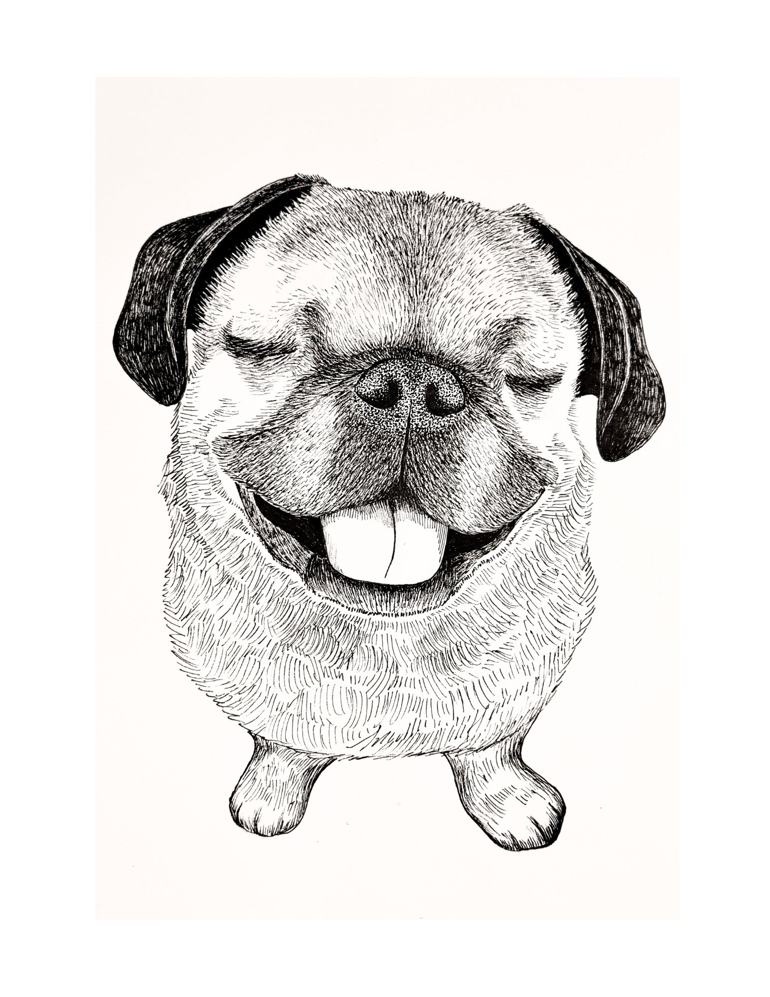 Pug Portraits